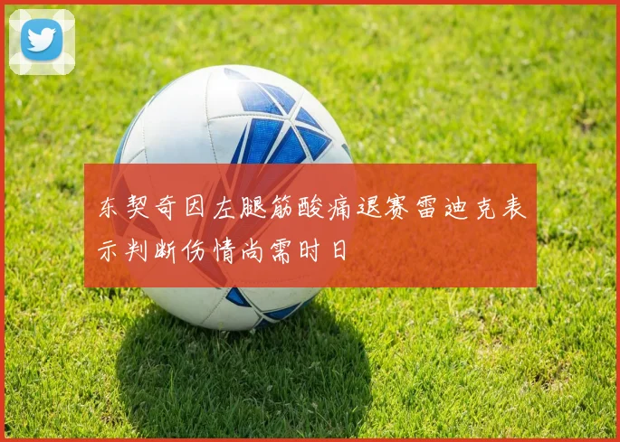 东契奇因左腿筋酸痛退赛雷迪克表示判断伤情尚需时日